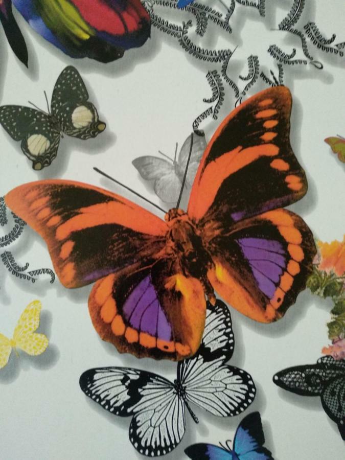Sevilla Butterfly Suites Extérieur photo